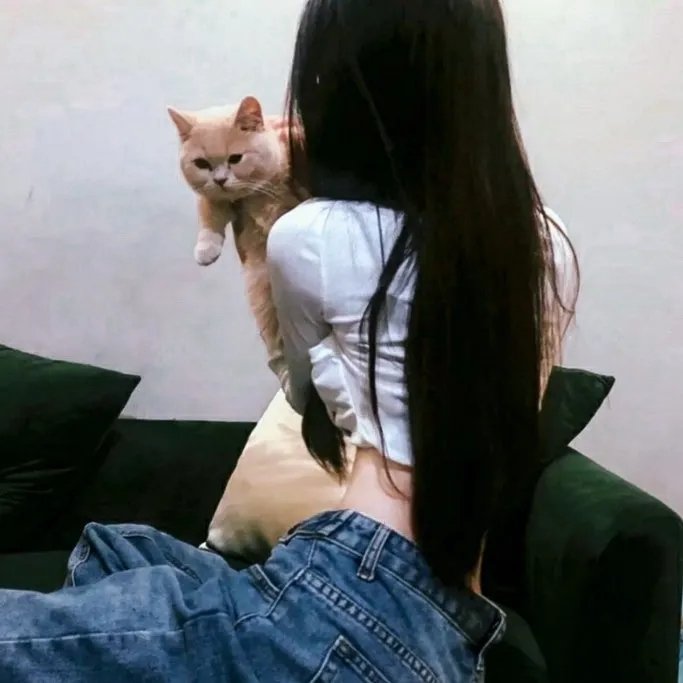 少数意见
